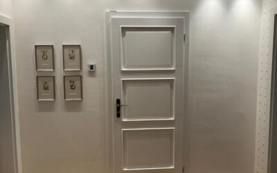 Rekonstrukce bytu – Litovelská, Olomouc