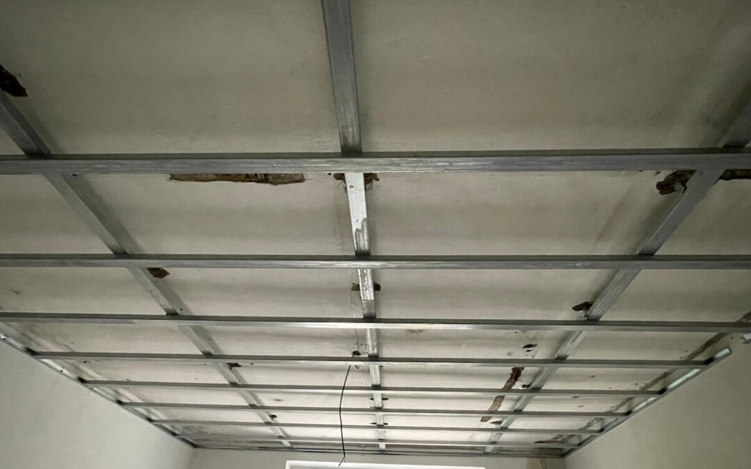 RD Hejčín, Olomouc